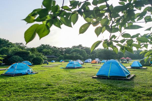 常州露营地点推荐：红梅公园、滆湖低碳公园、天目湖山水园。