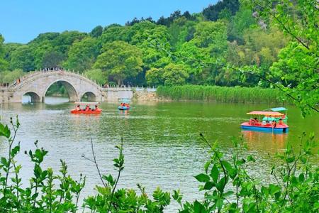 岳阳君山岛一日游攻略