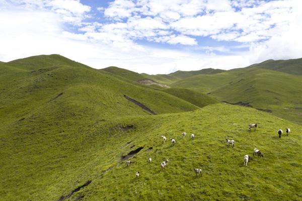 2024乌蒙大草原景区门票优惠政策