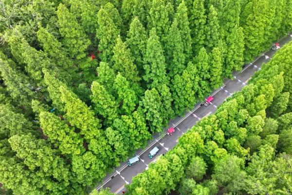 日照海濱國家森林公園有什么好玩的