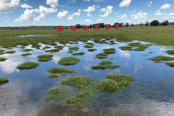 蘇泊罕大草原旅游景區門票優惠政策