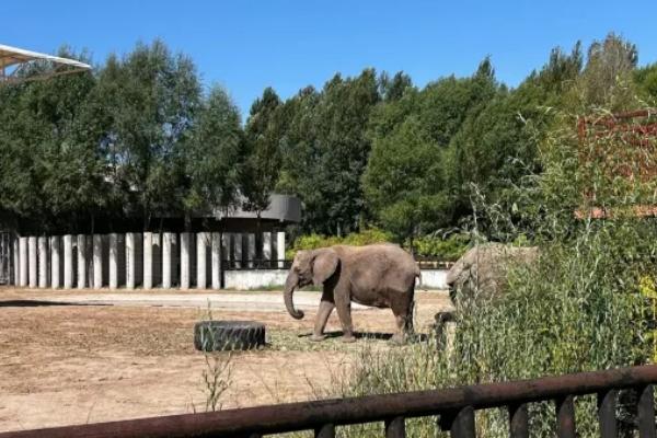 鄂爾多斯野生動物園自駕游攻略