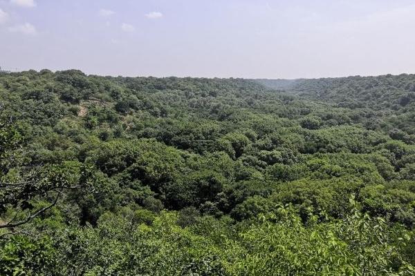 大青沟旅游景点介绍