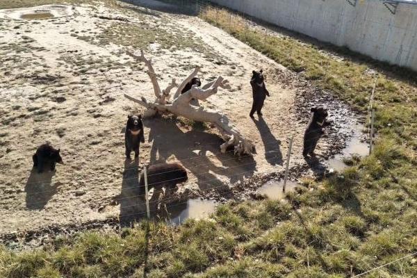 滄州動物園旅游攻略-門票價格-景點信息