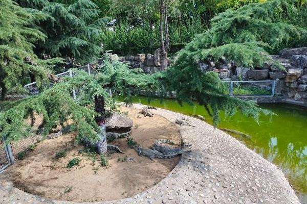 石家莊動物園一日游攻略