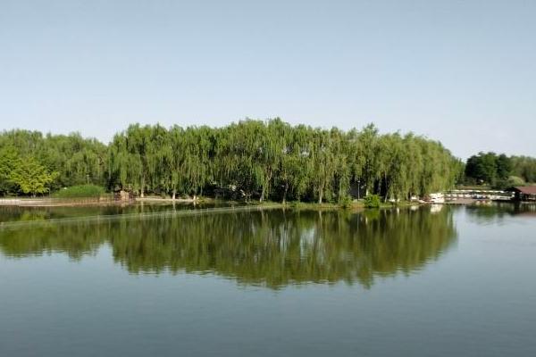 石家庄植物园游乐场项目