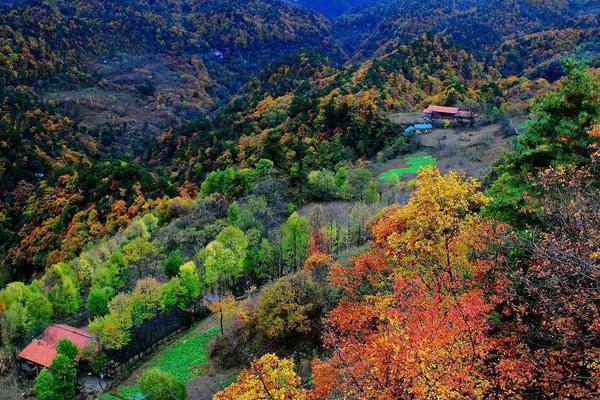 米仓山大峡谷在什么地方