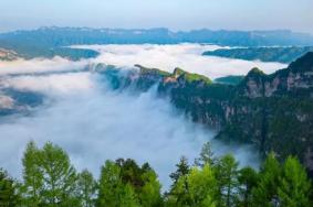 米仓山大峡谷有什么景点