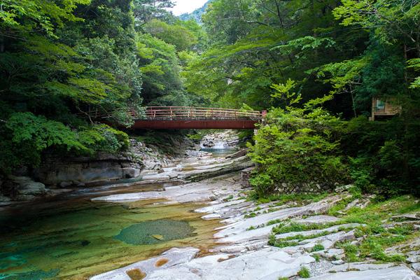 米仓山大峡谷有什么景点