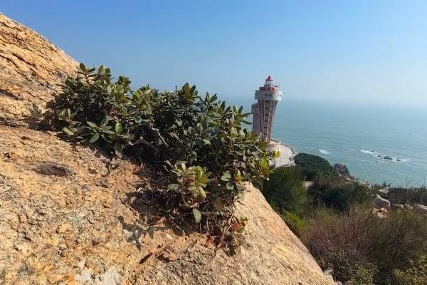 北戴河聯峰山公園旅游攻略-門票價格-景點信息