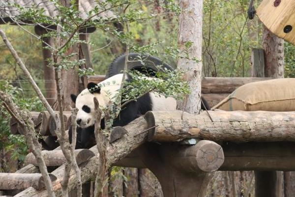 濟南野生動物園一日游的攻略