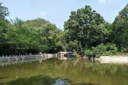 曲阳虎山风景区旅游攻略-门票价格-景点信息
