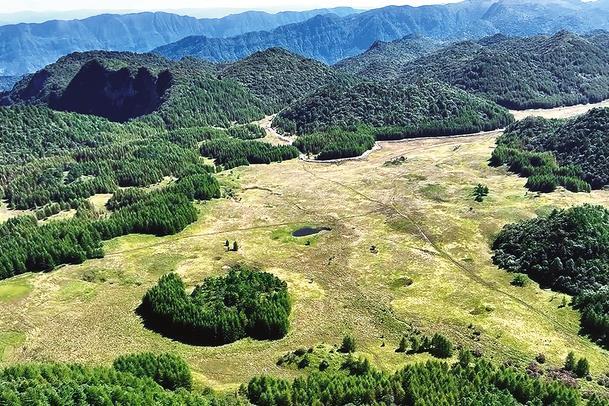 重庆免费森林公园有哪些地方