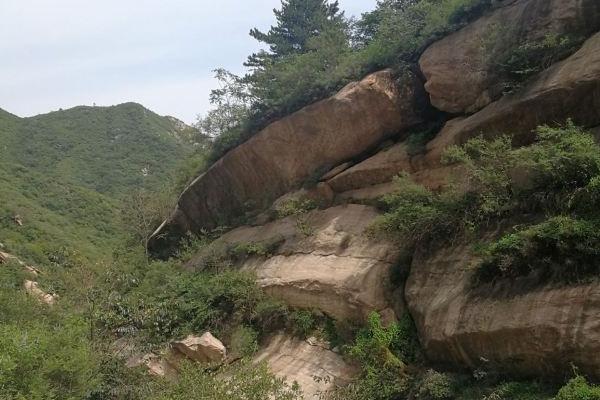 藤龙山风景区在哪里