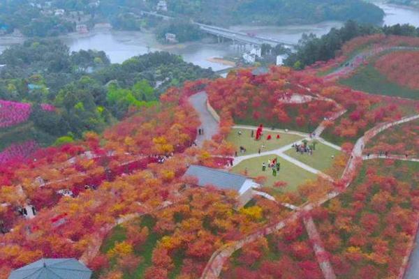 南湖多彩植物园游玩攻略-门票价格-景点信息