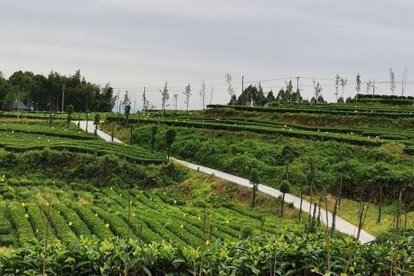 重慶石筍山風景區游玩攻略-門票價格-景點信息