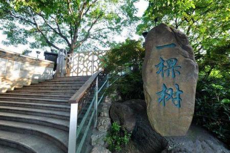 重庆南山风景区要门票吗 有哪些景观