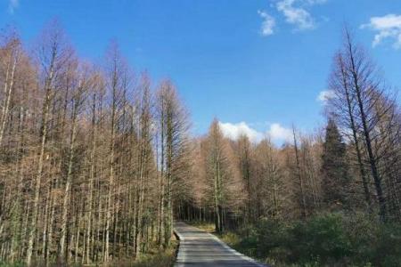 山王坪喀斯特国家生态公园游玩攻略-门票价格-景点信息