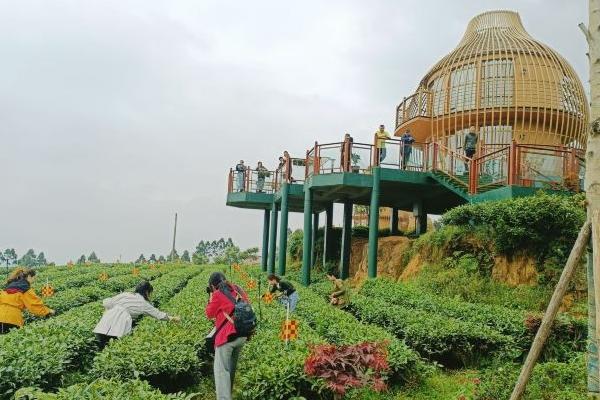 重庆石笋山风景区游玩攻略-门票价格-景点信息