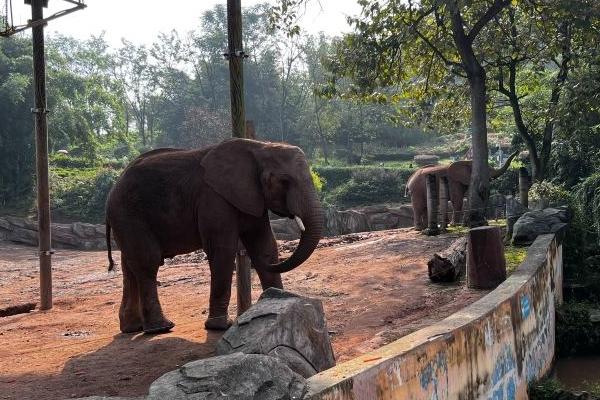 樂和樂都動物園游玩時間