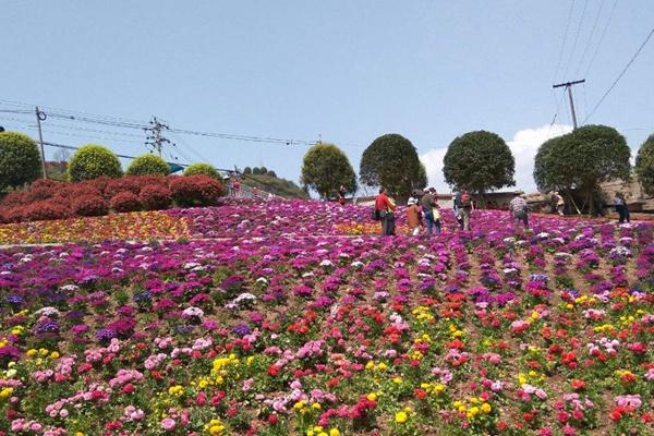 南湖多彩植物園游玩攻略-門票價格-景點信息