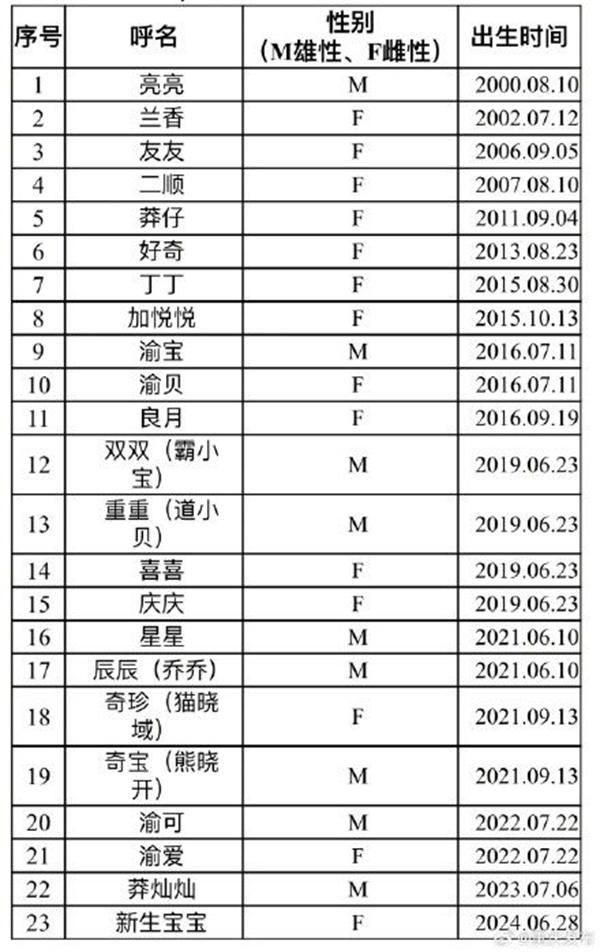 2024重庆动物园有多少只熊猫