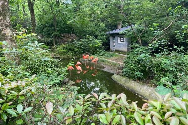 杭州動物園一日游最佳路線