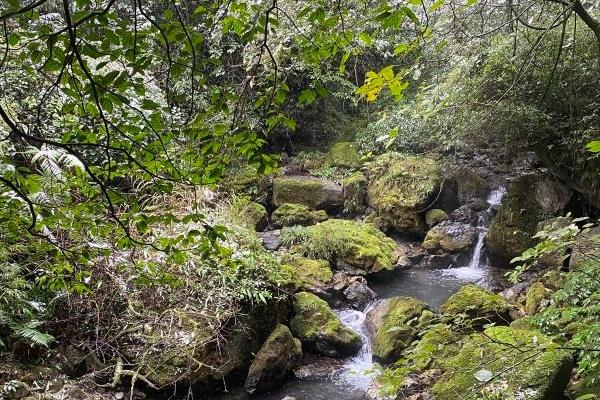 南川神龍峽一日游攻略