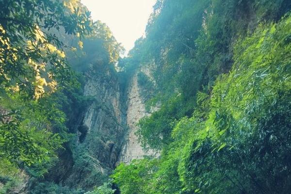 重慶神龍峽風景區在哪里