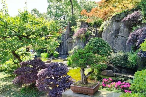 重慶南山植物園一日游攻略