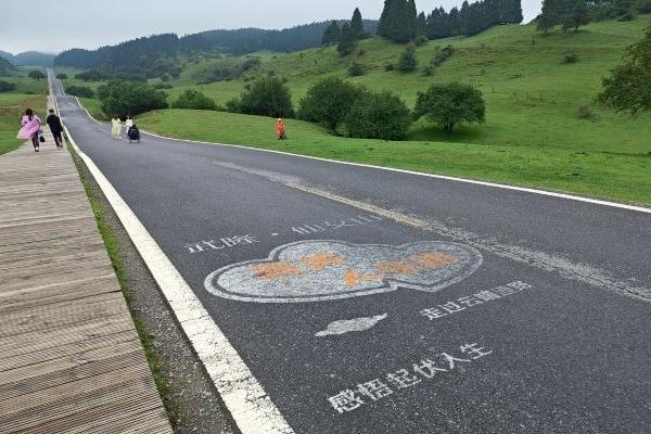 武隆仙女山一日游最佳路線