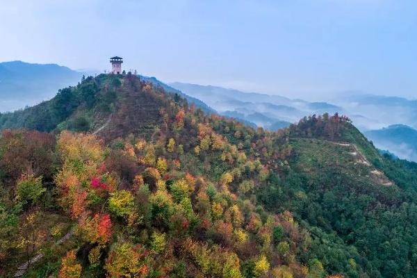 巴南彩色森林公园地址在哪里 在什么地方