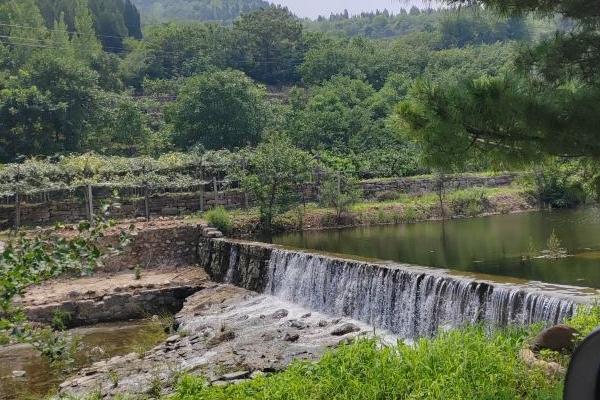 魯山森林公園看云海日出攻略