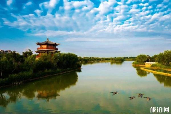 馬踏湖濕地公園游玩攻略-門票價格-景點信息