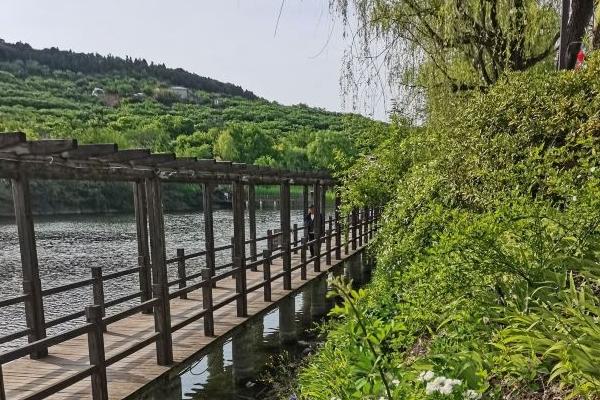 压油沟风景区游玩攻略-门票价格-景点信息