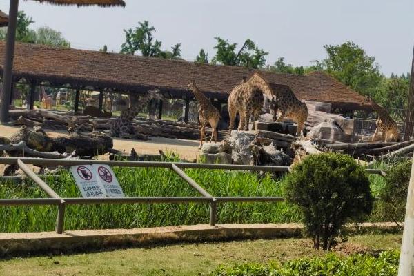 泉城歐樂堡動物王國游玩攻略-門票價格-景點信息