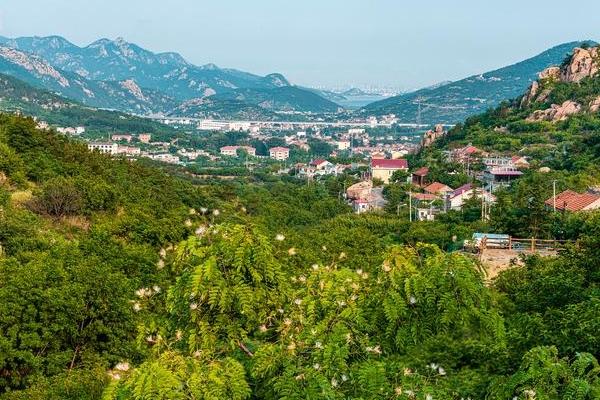 平度茶山都有哪些景点