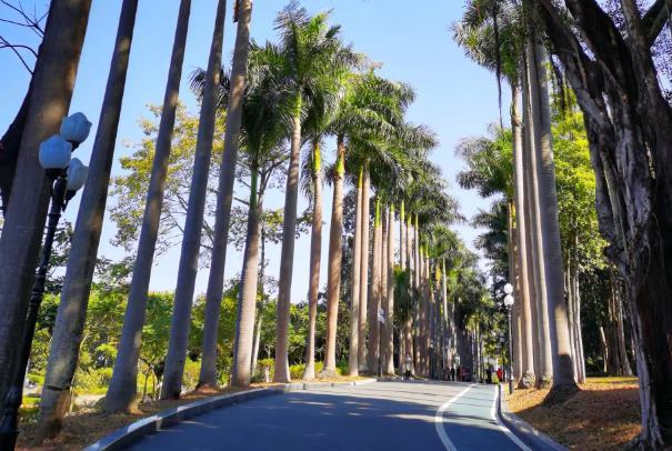 深圳公園預約停車提前多久