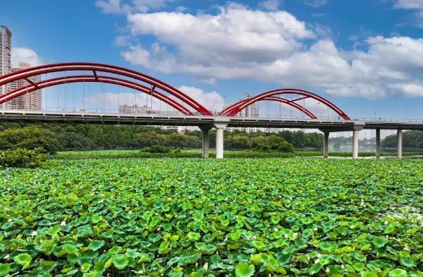 深圳公園預約停車提前多久