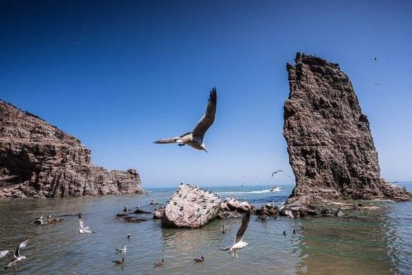 威海海驢島一日游