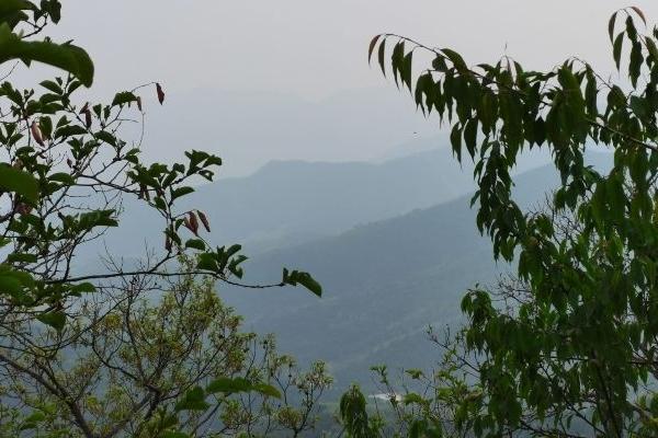 天津森林公園有哪些 哪個適合避暑