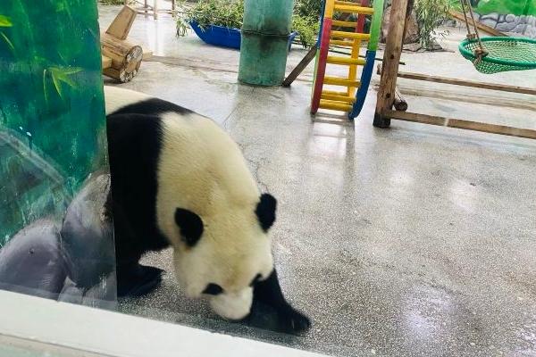 臨沂動植物園門票優惠政策