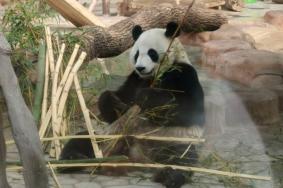 南寧動物園游玩時間需要多久