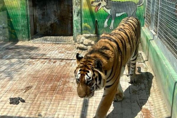 臨沂動植物園門票優(yōu)惠政策