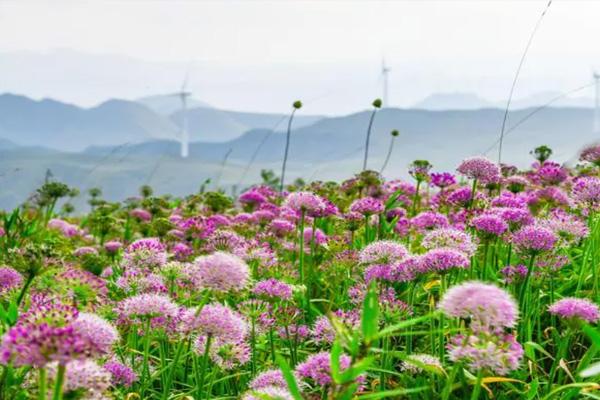 2024韭菜坪景區門票多少錢