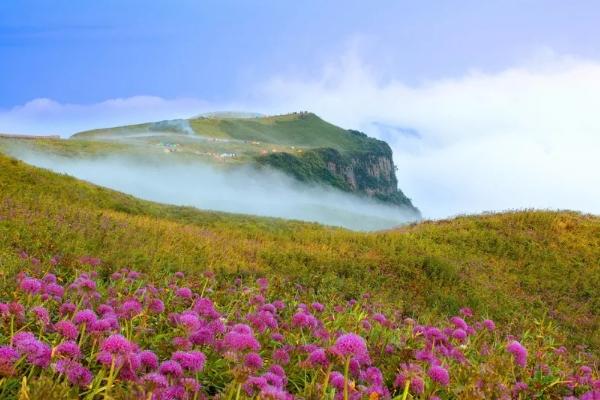 韭菜坪日出票需要提前預(yù)定嗎