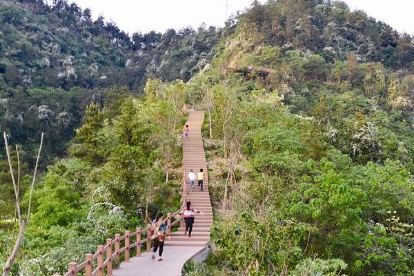 長(zhǎng)嶺國家登山健身步道打卡路線