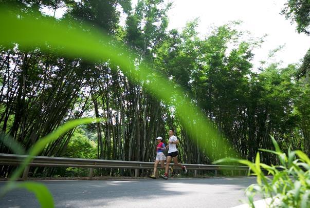 長(zhǎng)嶺國家登山健身步道打卡路線