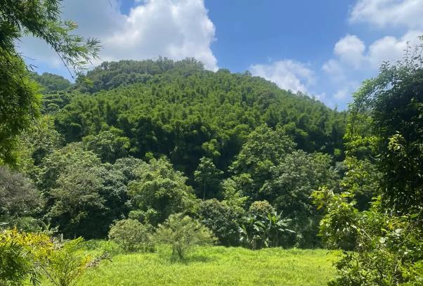 长岭国家登山健身步道打卡路线