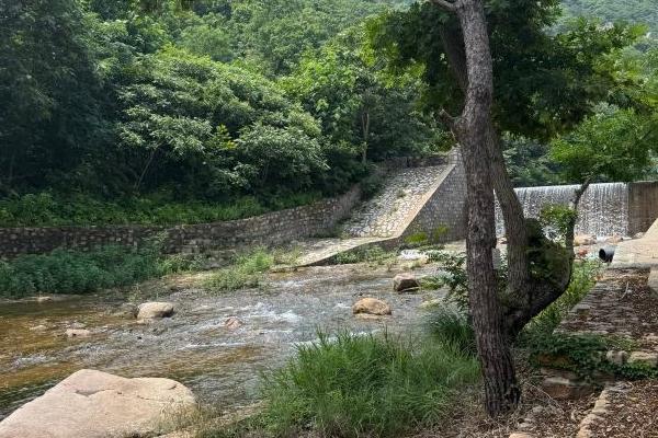 招虎山國家森林公園景區門票多少錢